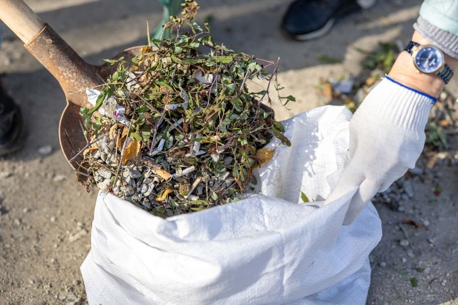 autumn garden cleanup