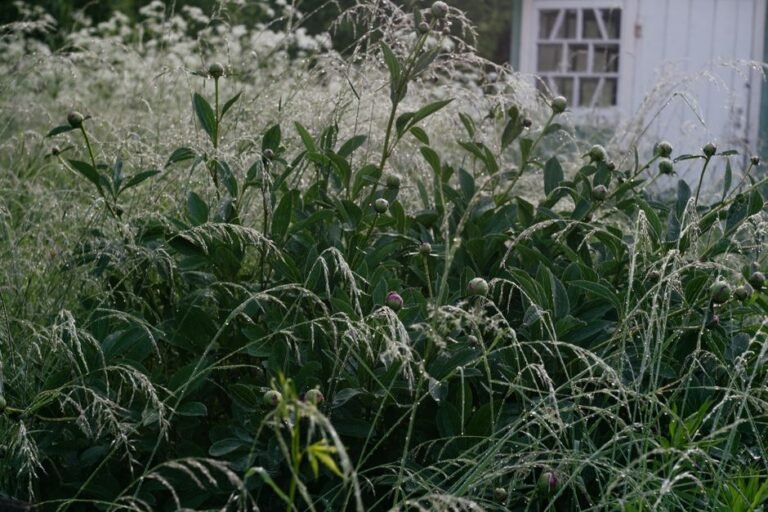 Self Sufficiency Is Mostly a Story, and Partly Not